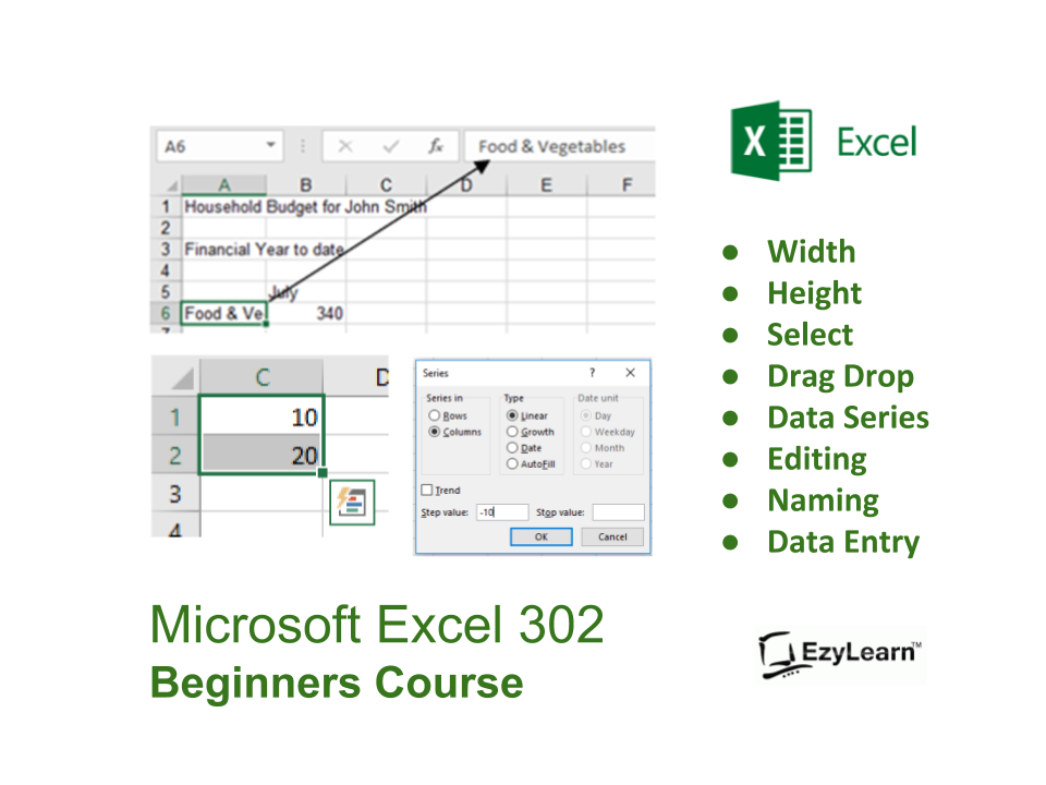 NICF167: MICROSOFT EXCEL BASIC - NTUC LearningHub